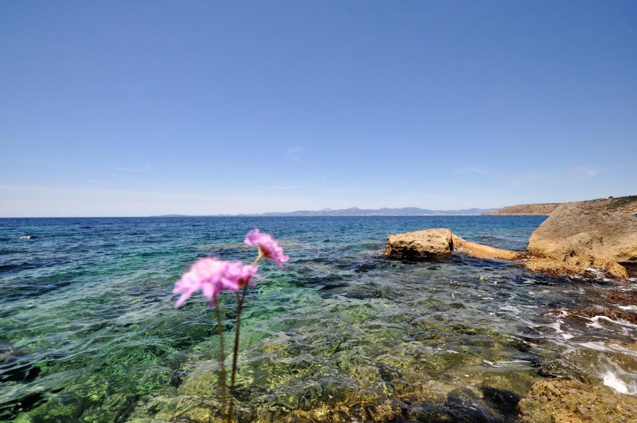 Villa Hugo- Badia Gran- Llucmajor- Mallorca Kültér fotó